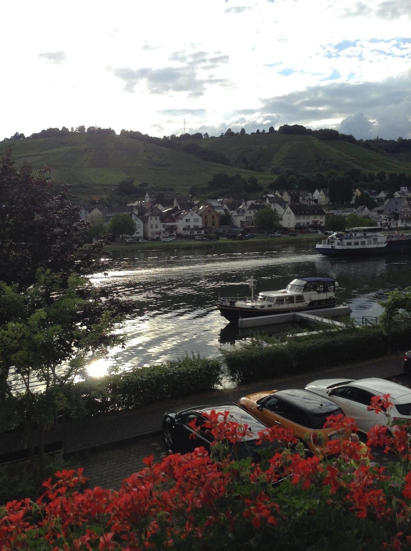 Ferienwohnung Mosel Panorama Zell Exterior foto