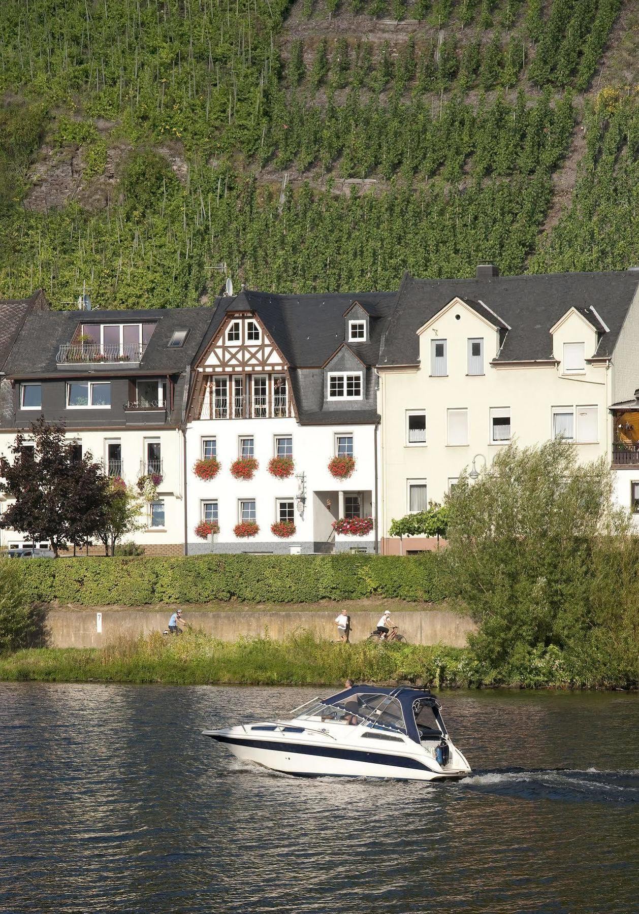 Ferienwohnung Mosel Panorama Zell Exterior foto